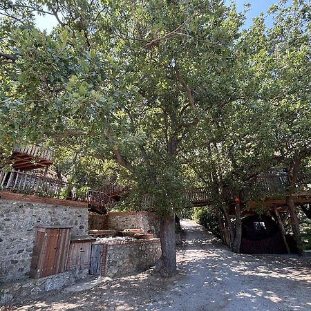 B & B Le Casette Sull'Albero Di Villa Alba 墨西拿 外观 照片