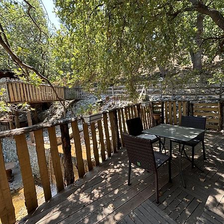 B & B Le Casette Sull'Albero Di Villa Alba 墨西拿 外观 照片