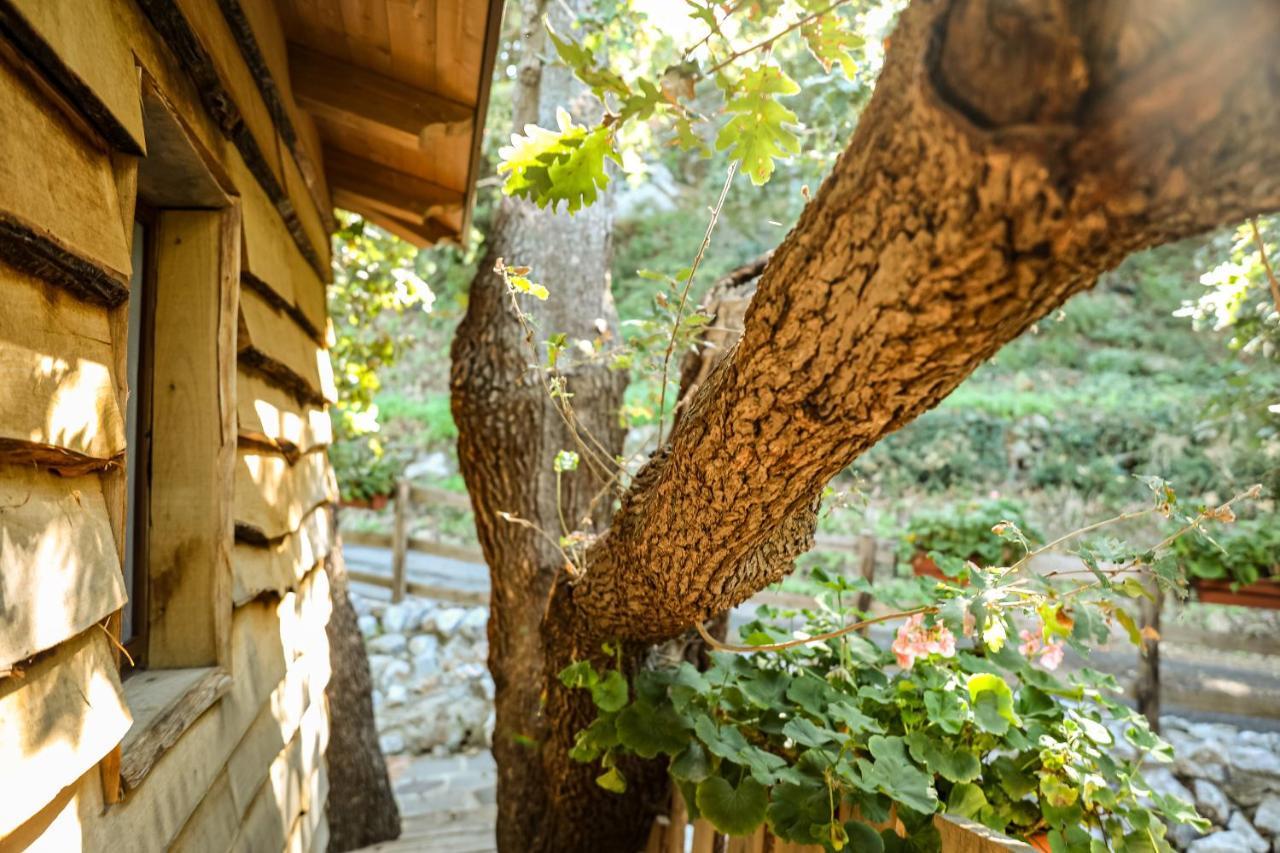 B & B Le Casette Sull'Albero Di Villa Alba 墨西拿 外观 照片