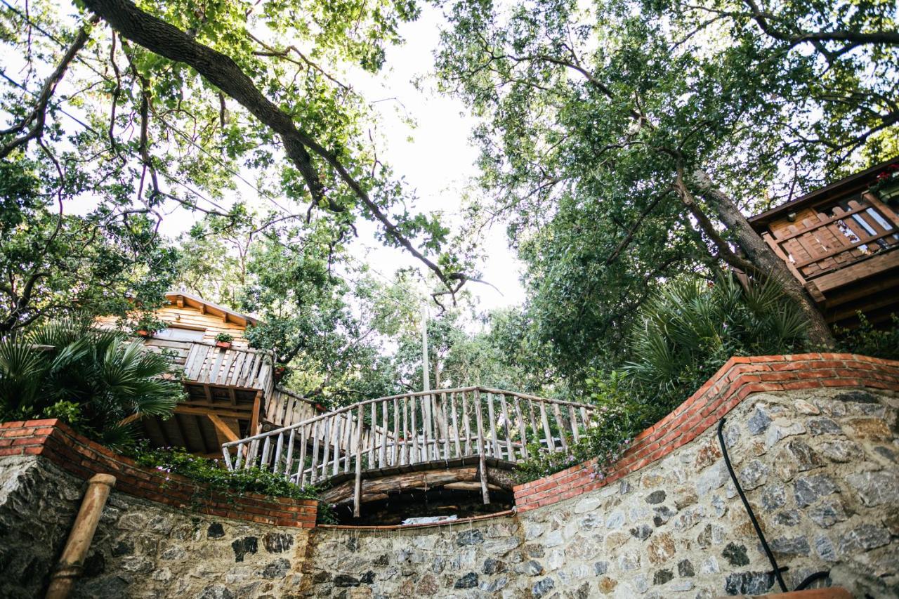 B & B Le Casette Sull'Albero Di Villa Alba 墨西拿 外观 照片
