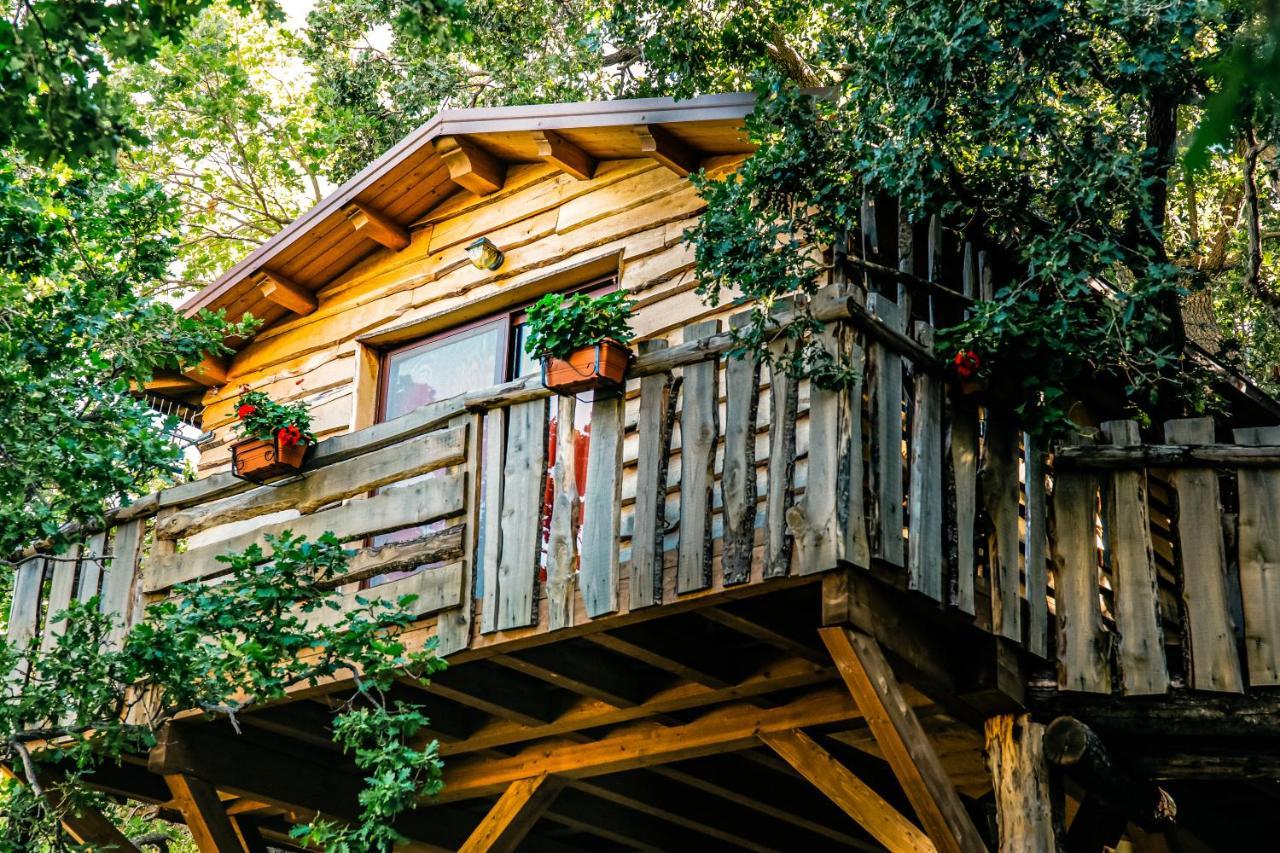B & B Le Casette Sull'Albero Di Villa Alba 墨西拿 外观 照片