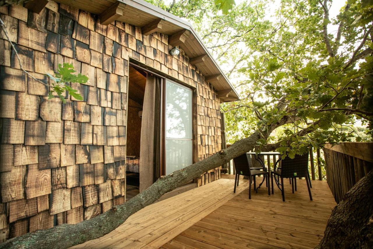 B & B Le Casette Sull'Albero Di Villa Alba 墨西拿 外观 照片