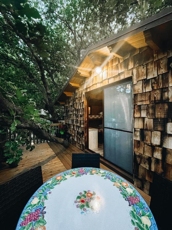 B & B Le Casette Sull'Albero Di Villa Alba 墨西拿 外观 照片