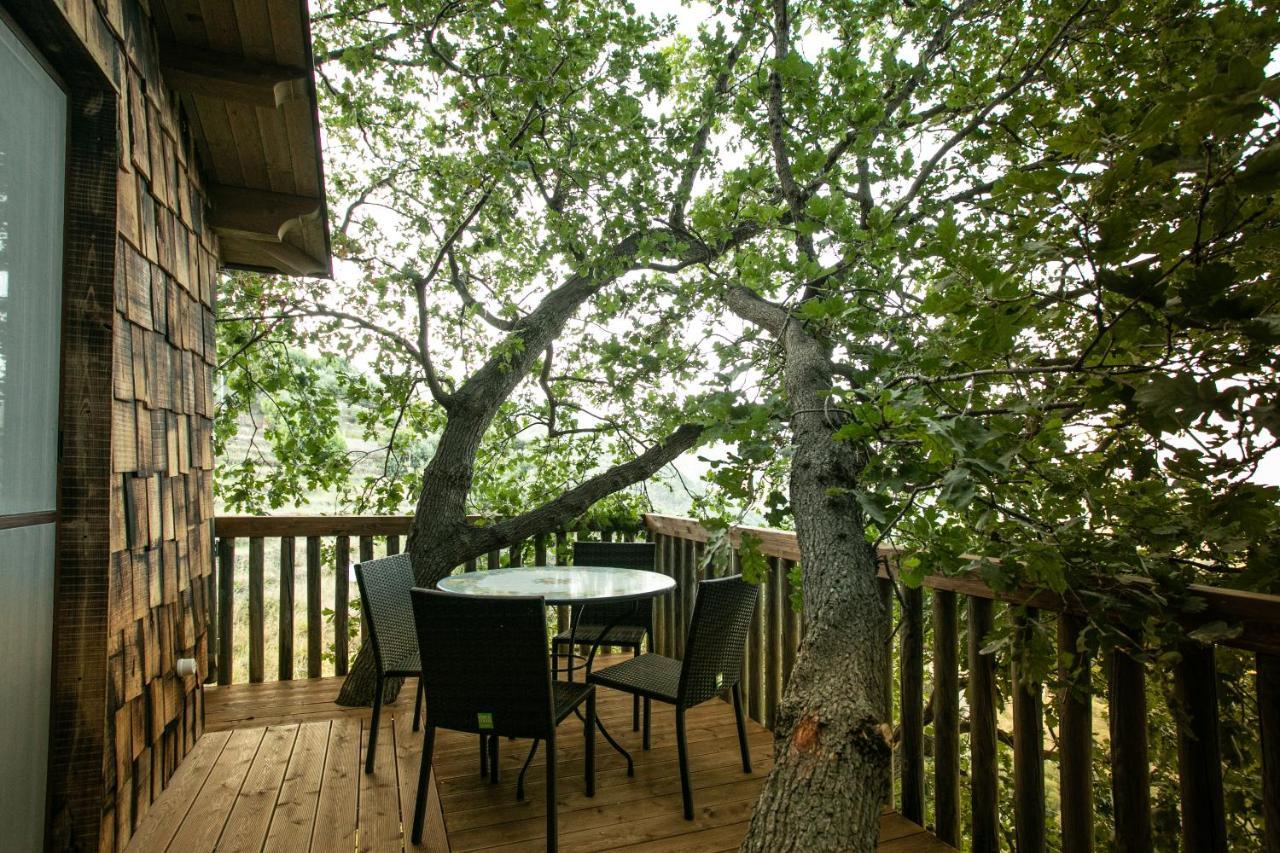 B & B Le Casette Sull'Albero Di Villa Alba 墨西拿 外观 照片