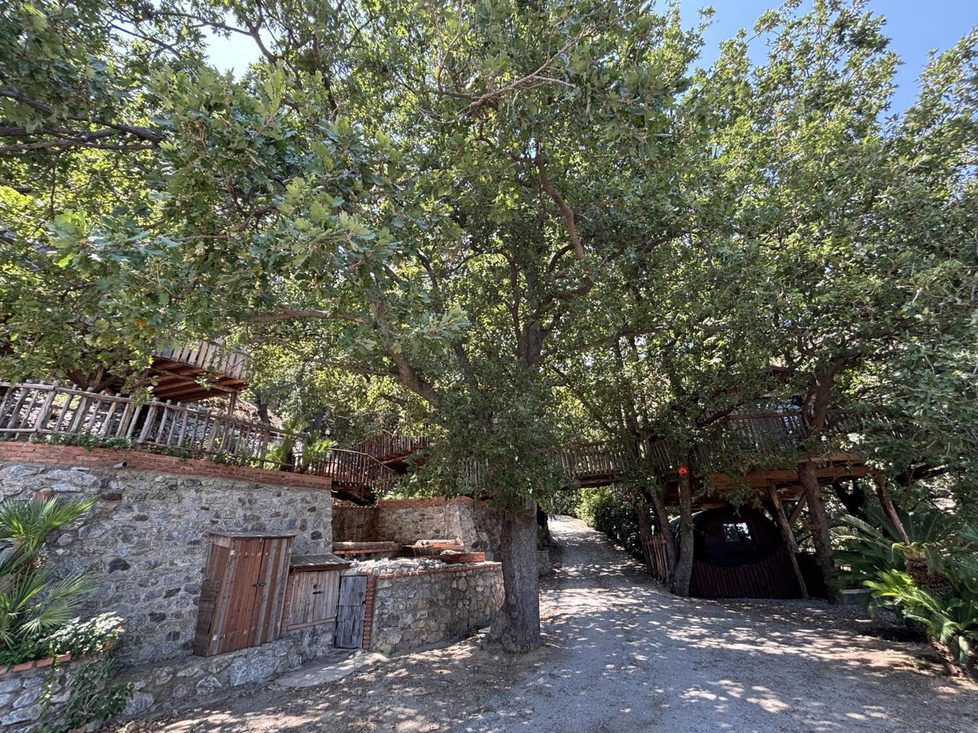 B & B Le Casette Sull'Albero Di Villa Alba 墨西拿 外观 照片