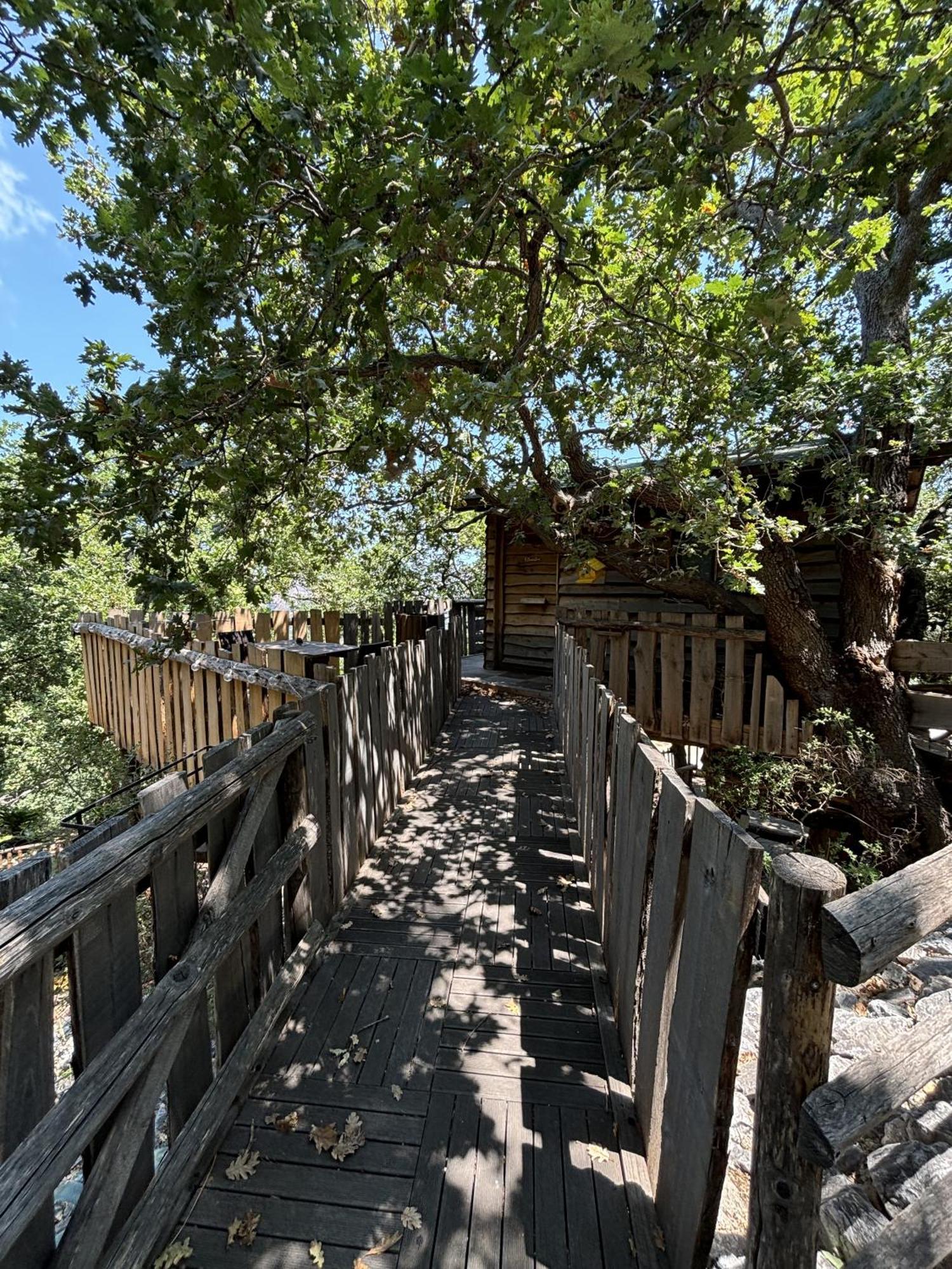 B & B Le Casette Sull'Albero Di Villa Alba 墨西拿 外观 照片