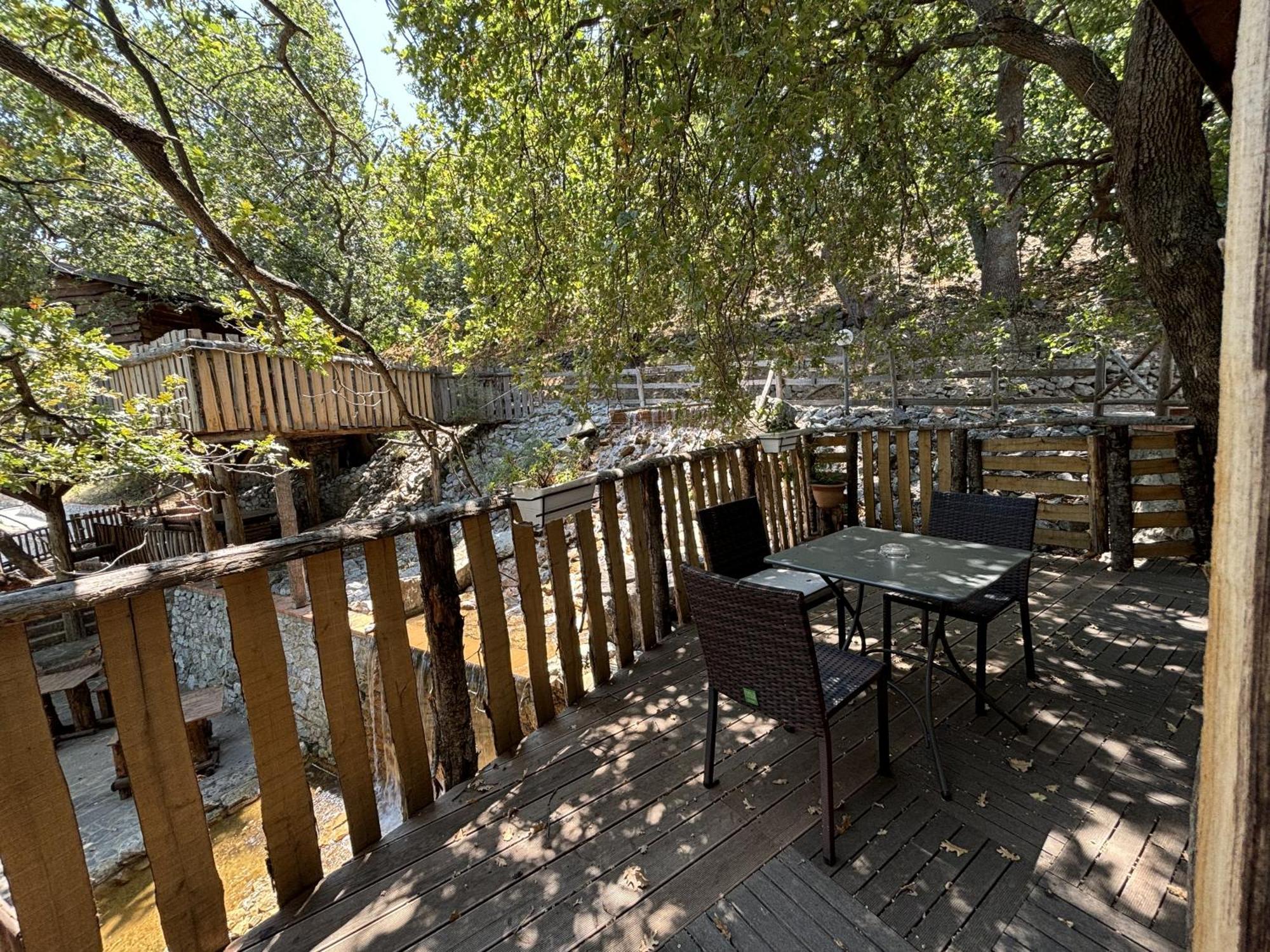 B & B Le Casette Sull'Albero Di Villa Alba 墨西拿 外观 照片